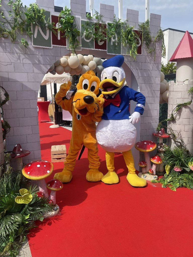 Donald Duck Mascotte inhuren, Ophalen of Verzenden, Zo goed als nieuw