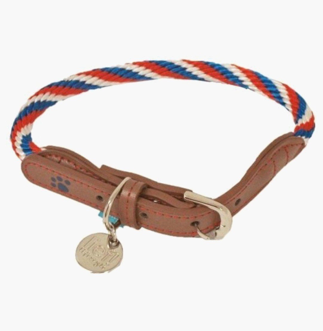 HALSBAND van LIEF, voor kleine hond of pup, net, Ophalen of Verzenden, Zo goed als nieuw