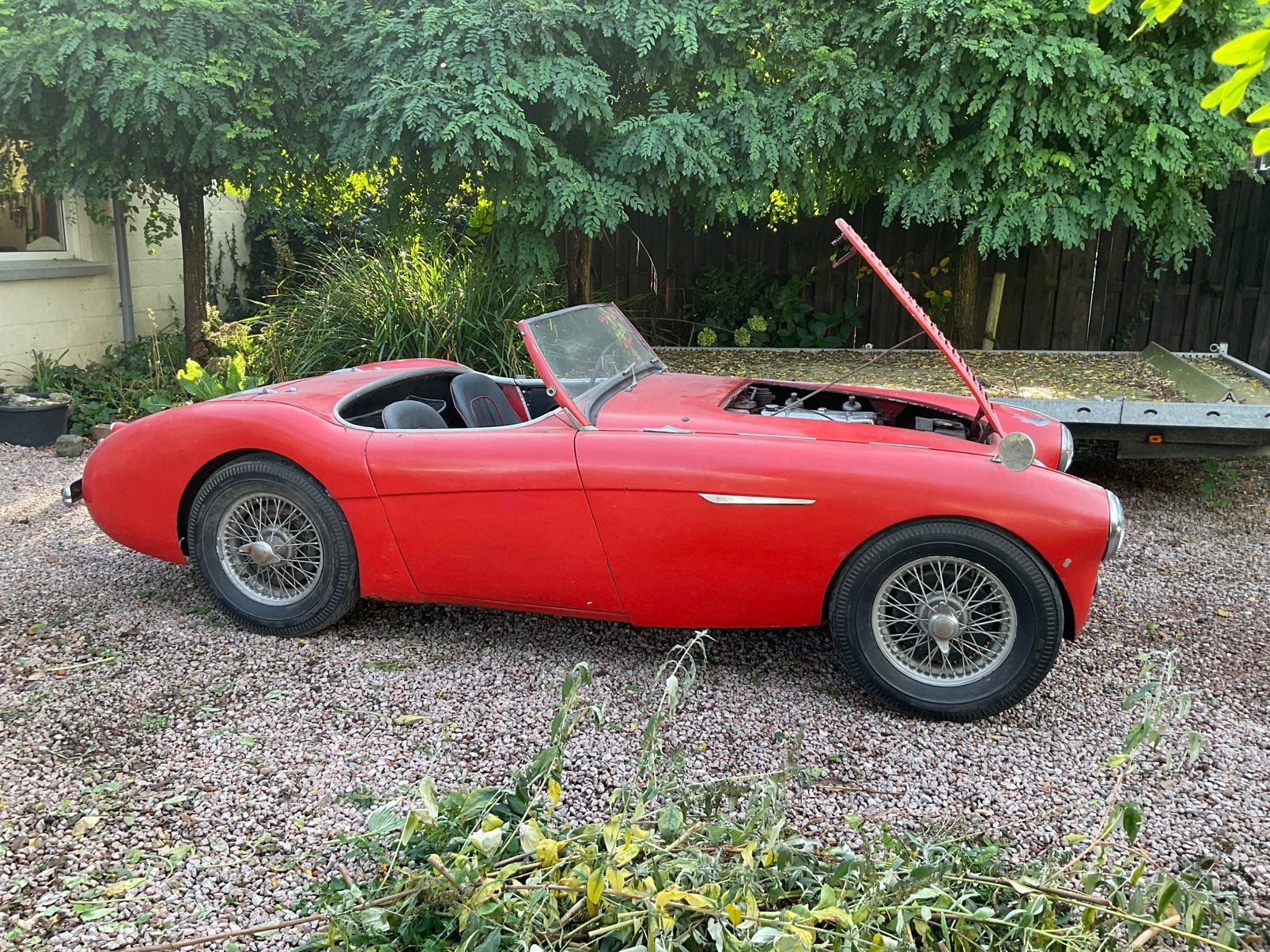 Austin Healey 100, foto 2