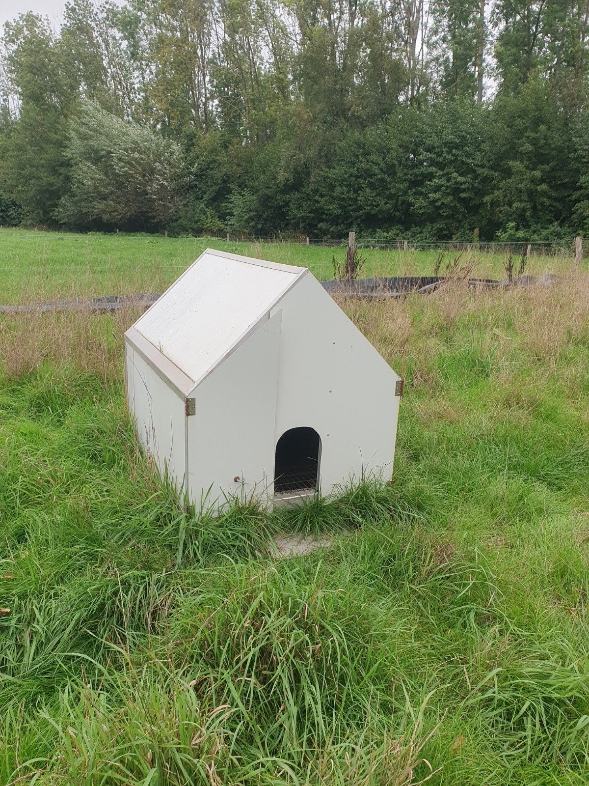 kippenhok, Ophalen, Gebruikt, Kippenhok of Kippenren