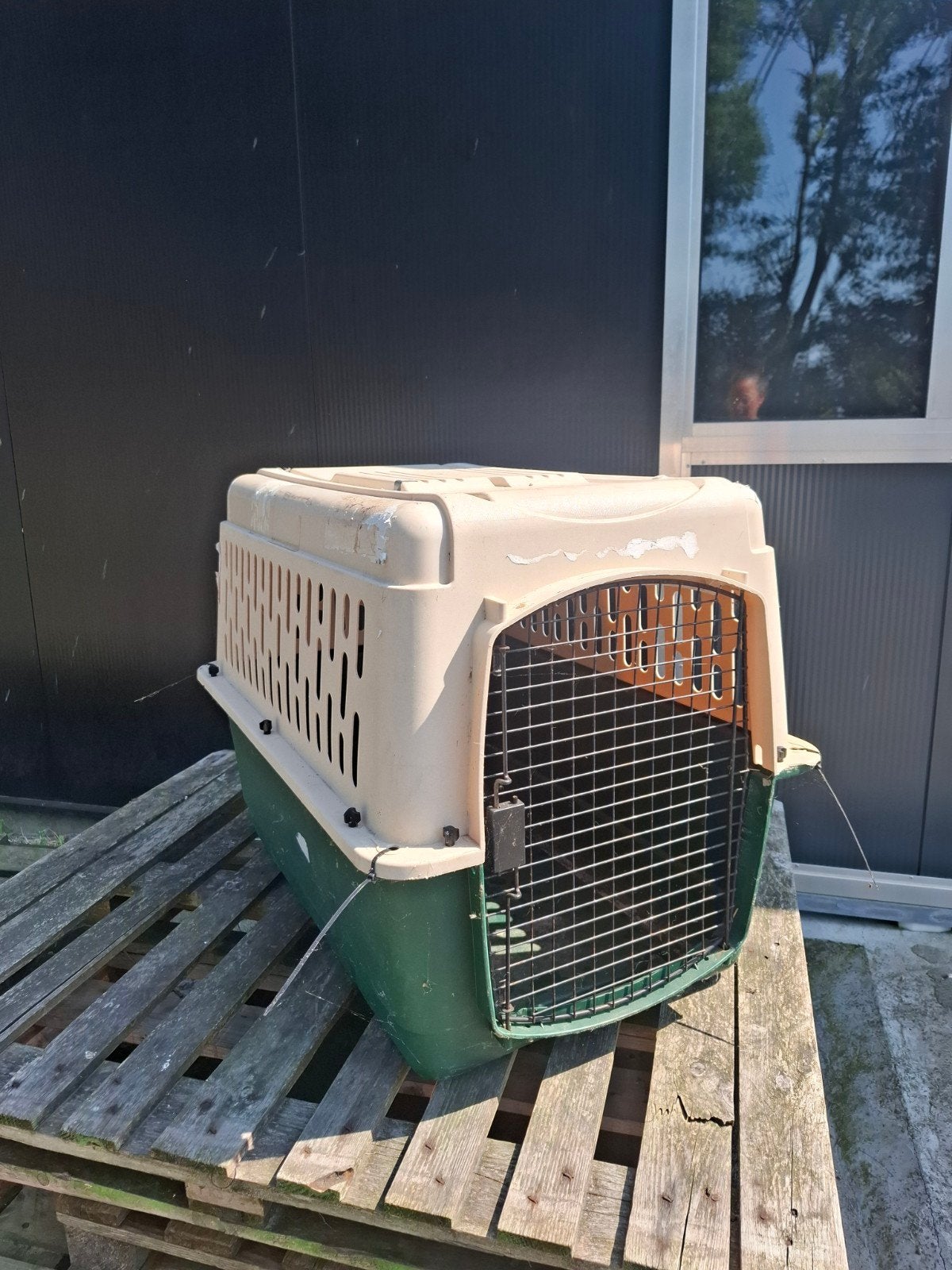 Grote reisbench hond, Dieren en Toebehoren, Ophalen, Gebruikt