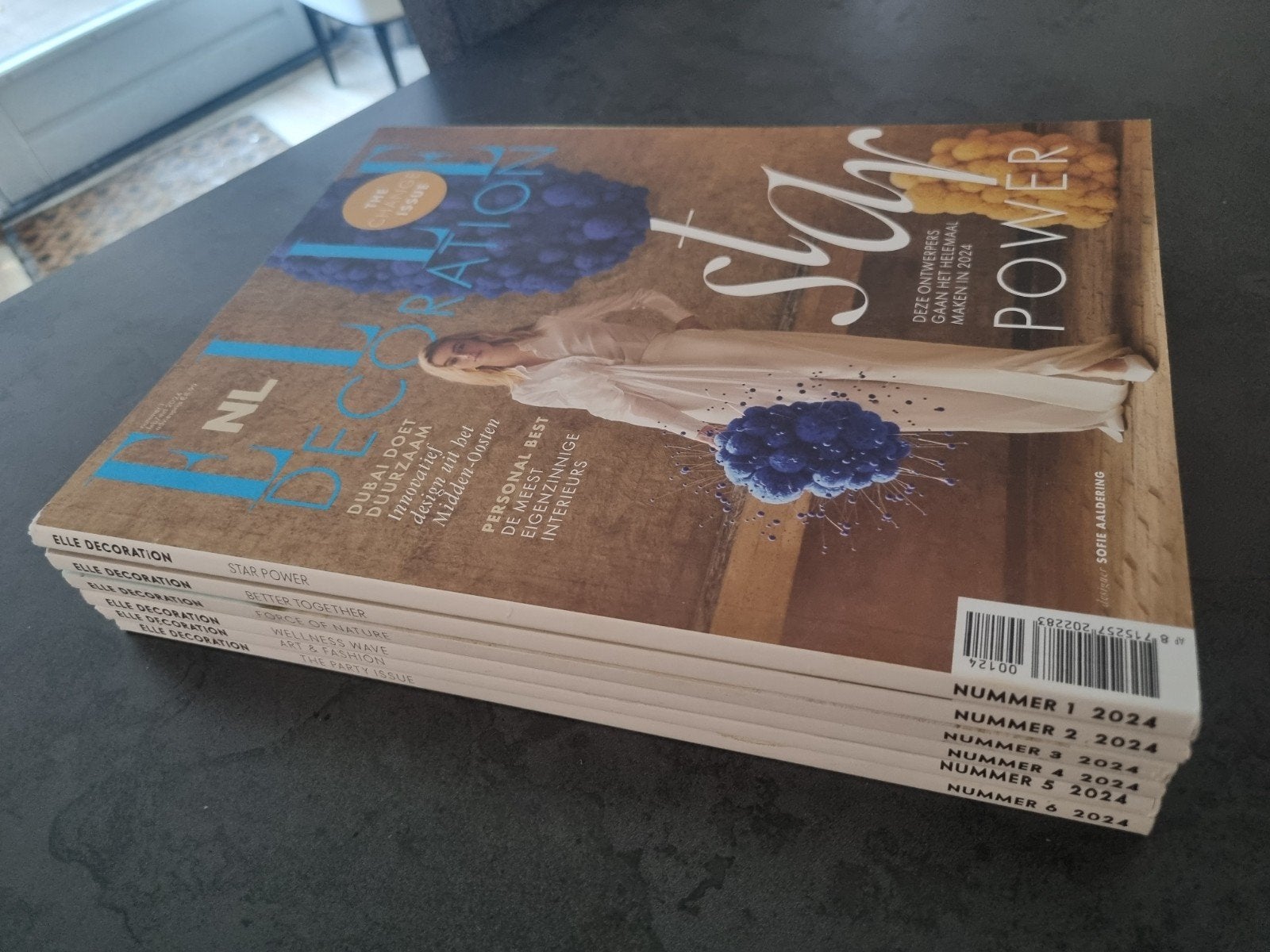 Elle Decoration Jaargang 2024 - compleet, Boeken, Tijdschriften en Kranten, Ophalen of Verzenden, Zo goed als nieuw, Overige typen