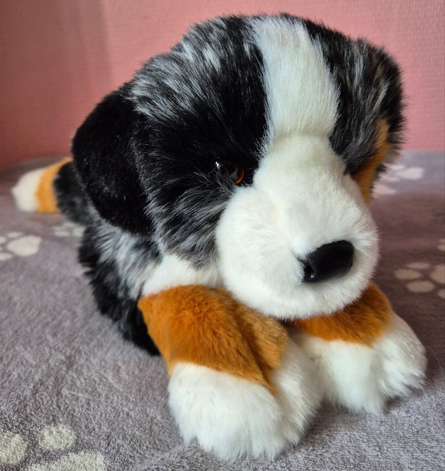 douglas cuddle toys Dlux maizie australian shepherd NIEUW, Overige merken, Overige karakters, Middelgroot (20 tot 80 cm), Meerkleurig