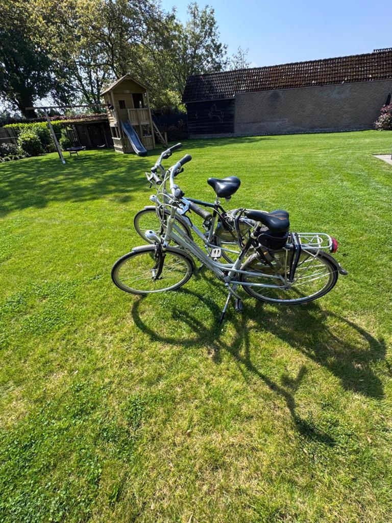 Gazelle Medeo Dames- en Herenfiets (set), Ophalen, Velgrem, Versnellingen, Gazelle