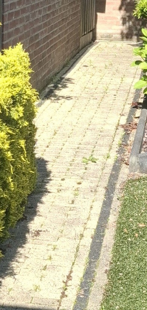 Waaltjes, Ophalen, Gebruikt, Klinkers, 10 m² of meer