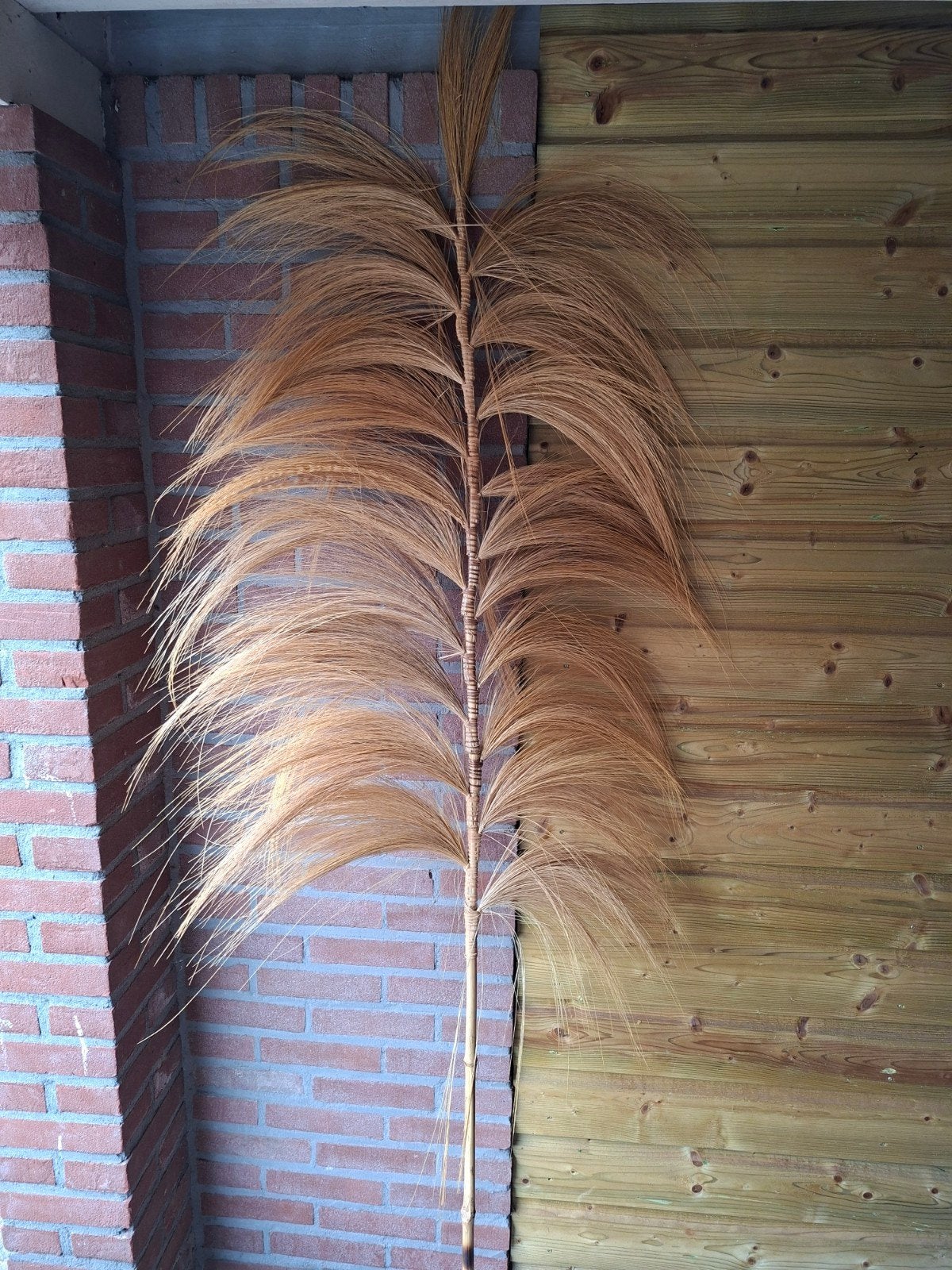 Grote pluim, Huis en Inrichting, Boho, Ophalen, Zo goed als nieuw, Overige typen