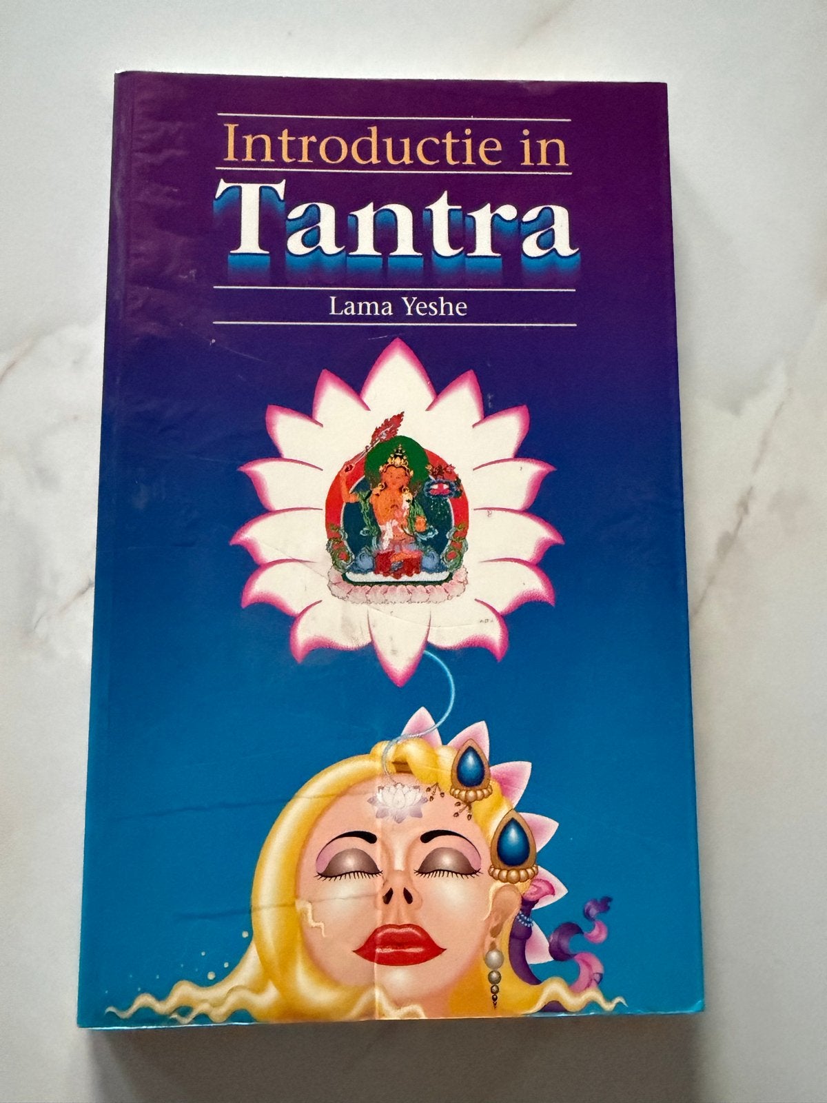Introductie in Tantra - Lama Yeshe (Boek), Ophalen of Verzenden, Gelezen, Spiritualiteit algemeen, Instructieboek