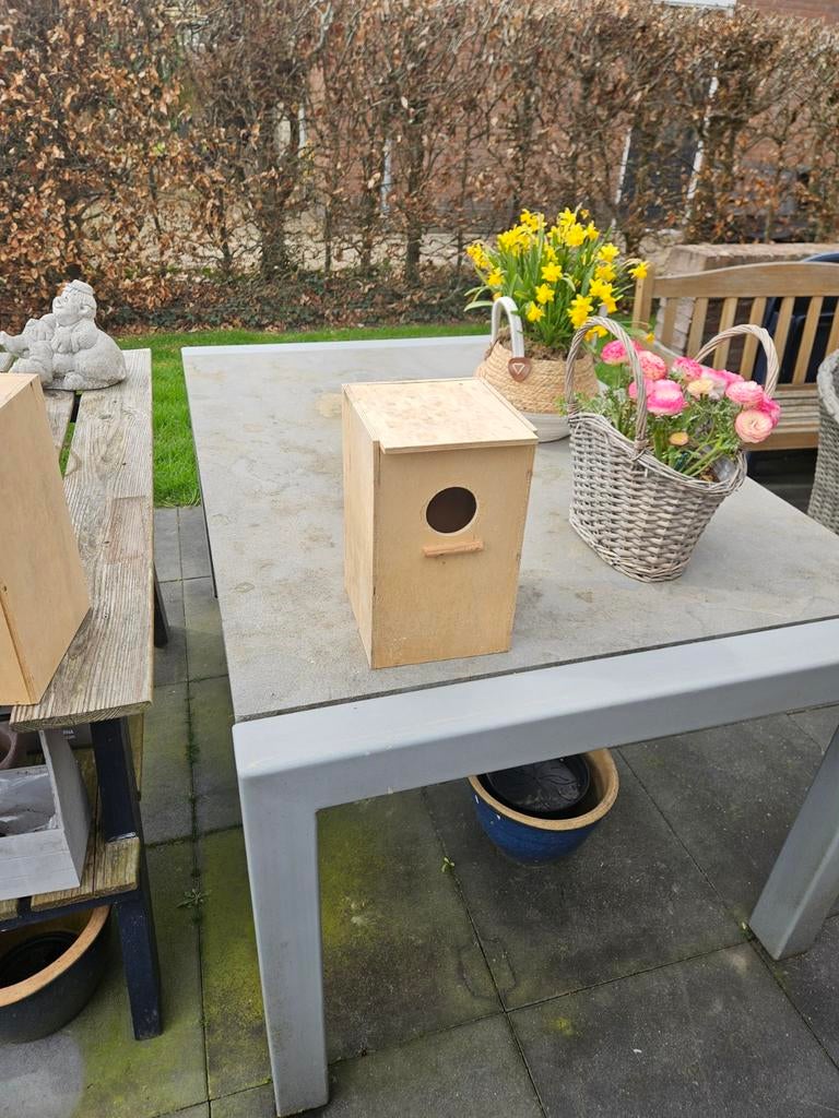 Broedblokken parkieten 30cm hoog en 18cm vierkant, Meerdere dieren, Parkiet