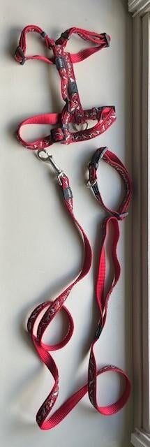 Tuigje, halsband én lijn - Red Rogz Bone, Ophalen of Verzenden, Gebruikt