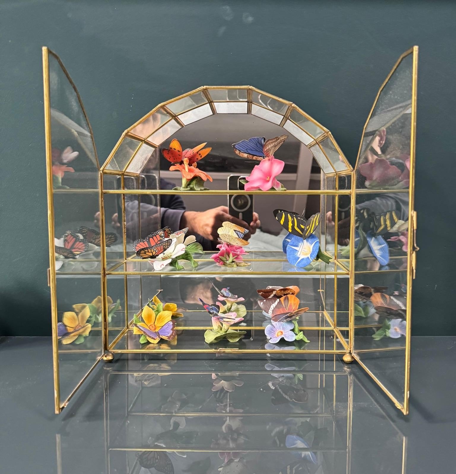 Vlinderverzameling in glazen vitrine, Verzamelen, Ophalen, Zo goed als nieuw