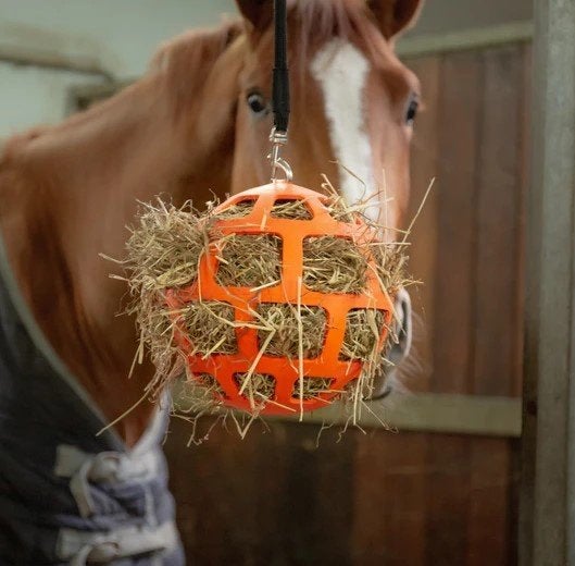 Slowfeeder 22cm doorsnee, voor paard, pony en andere grazers, Ophalen of Verzenden, Nieuw, Overige disciplines
