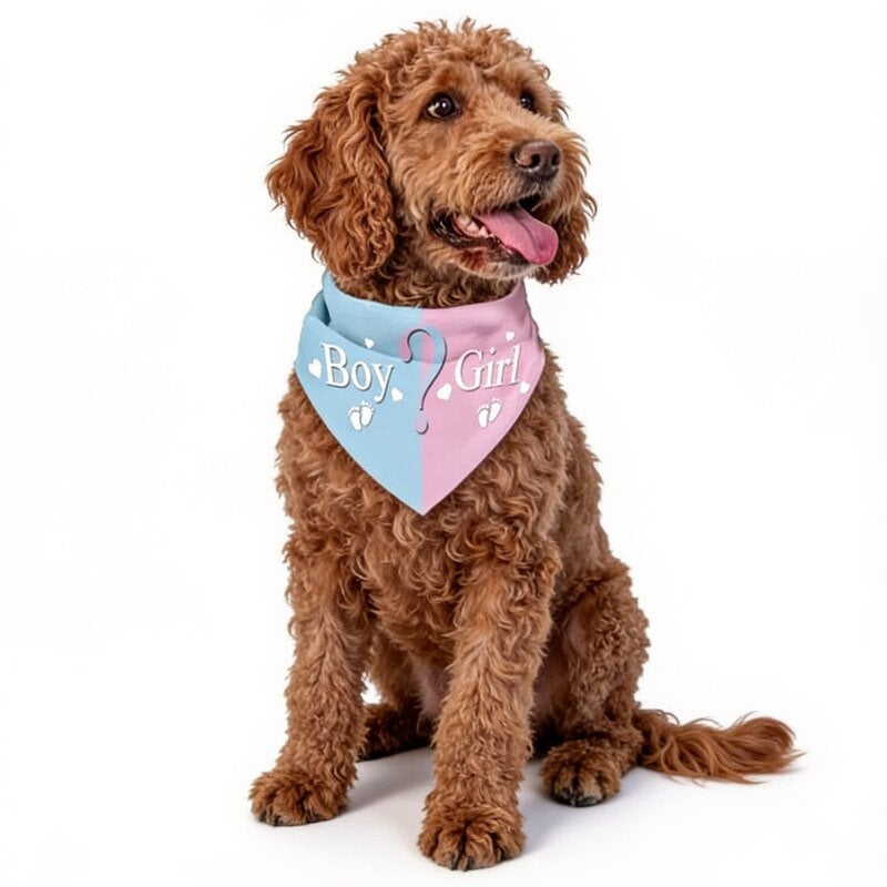 Honden bandana Boy or Girl