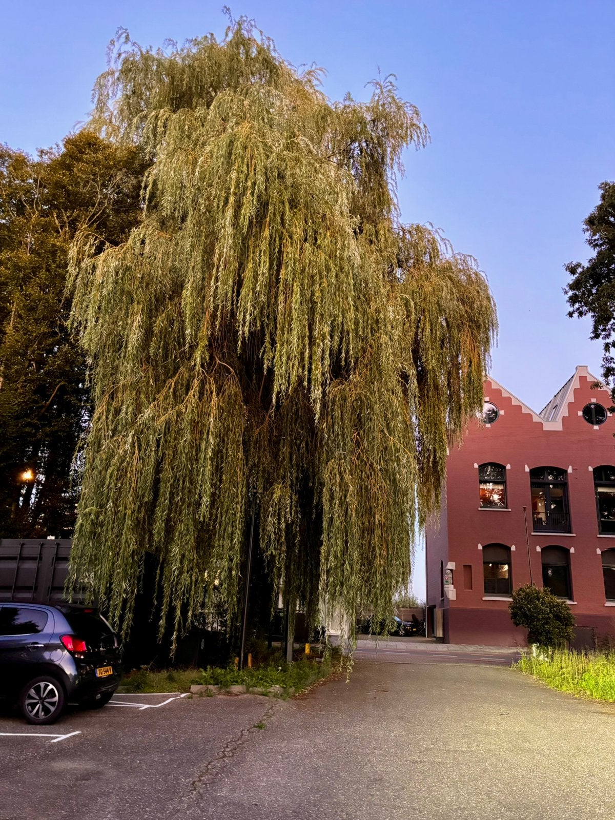 280 m² bedrijfsruimte & opslag te huur in Waddinxveen, Ophalen of Verzenden