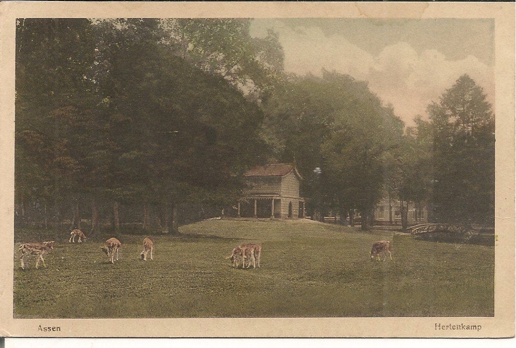 Oude Ansichtkaart Assen Herenkamp met herten, Ophalen of Verzenden, Voor 1920, Gelopen, Drenthe