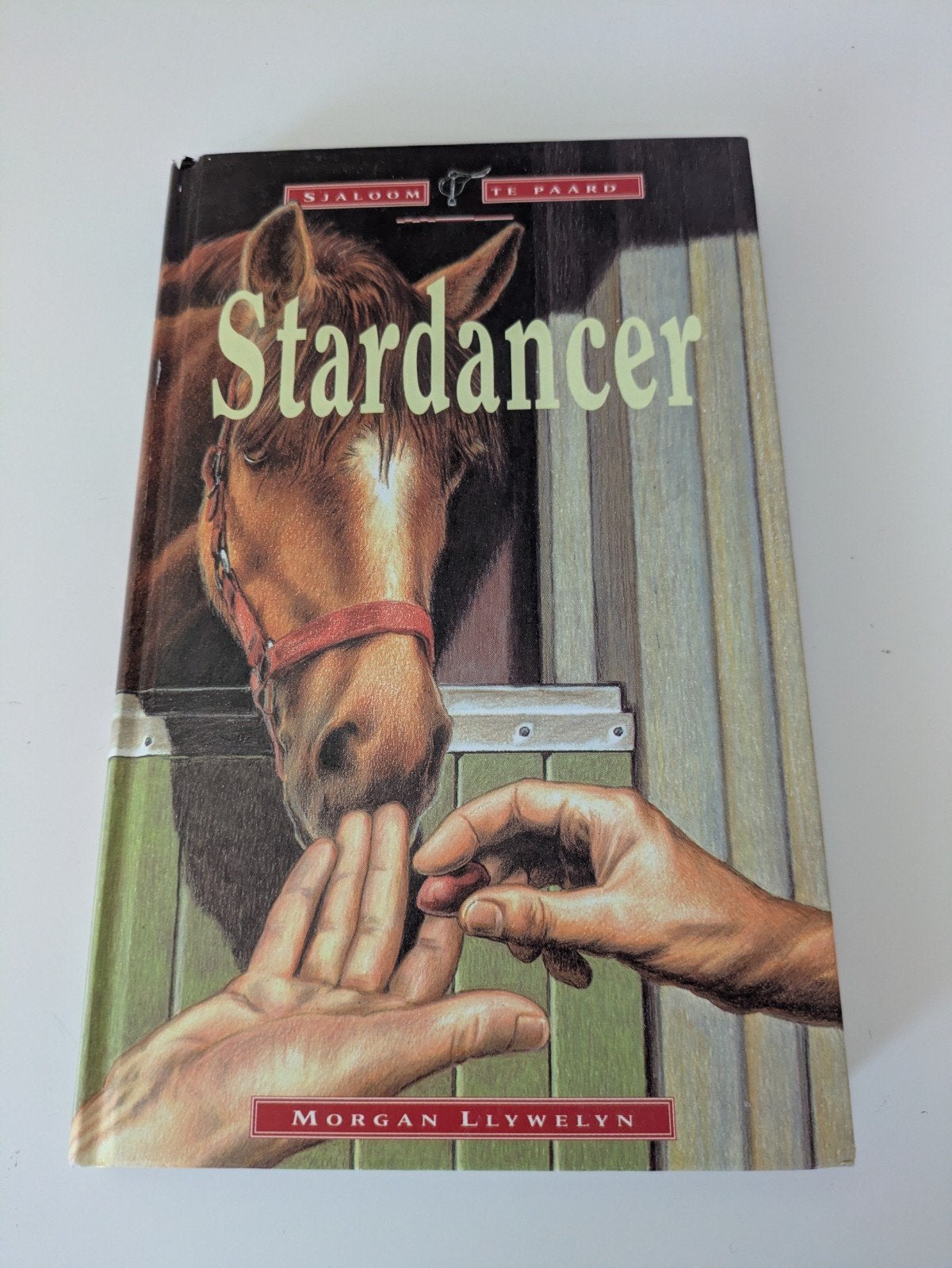 Boek: Stardancer, Ophalen of Verzenden