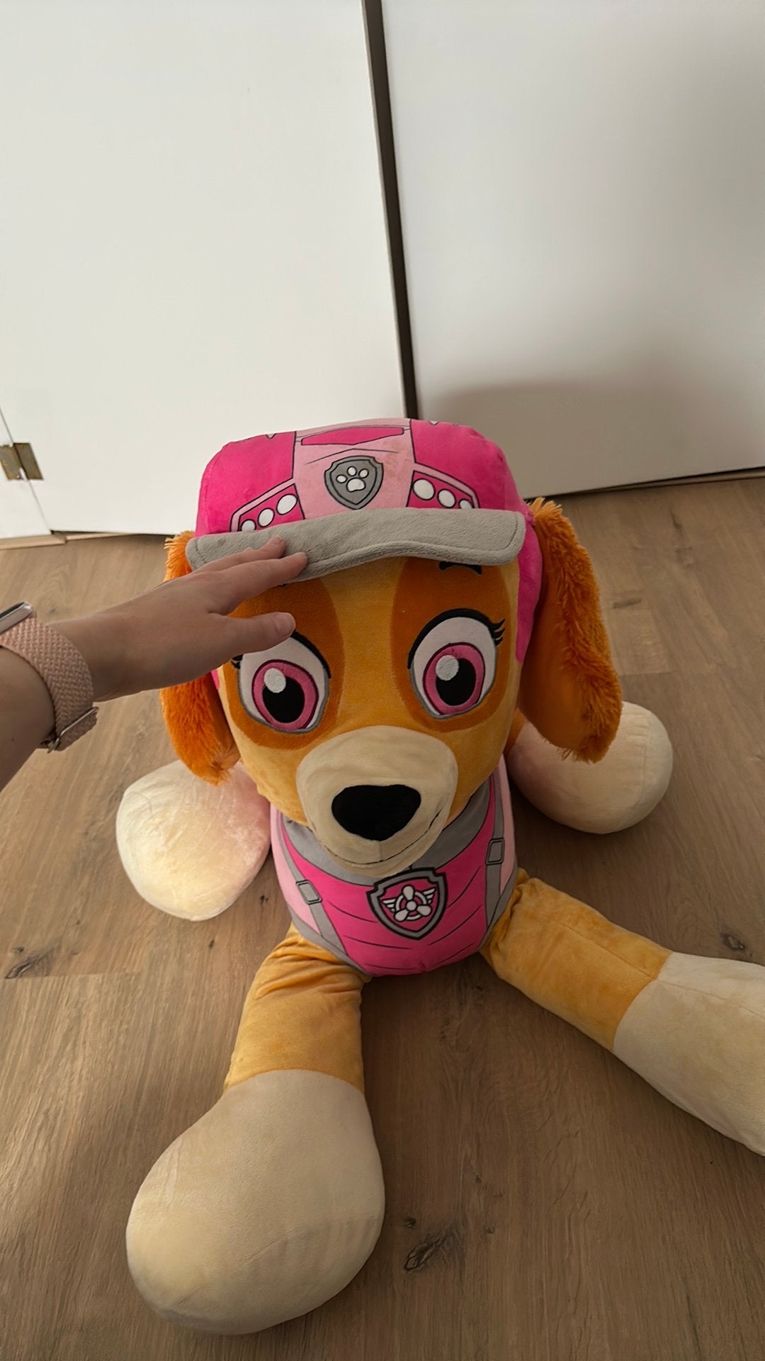 Grote skye paw patrol knuffel, Ophalen, Zo goed als nieuw, Hond