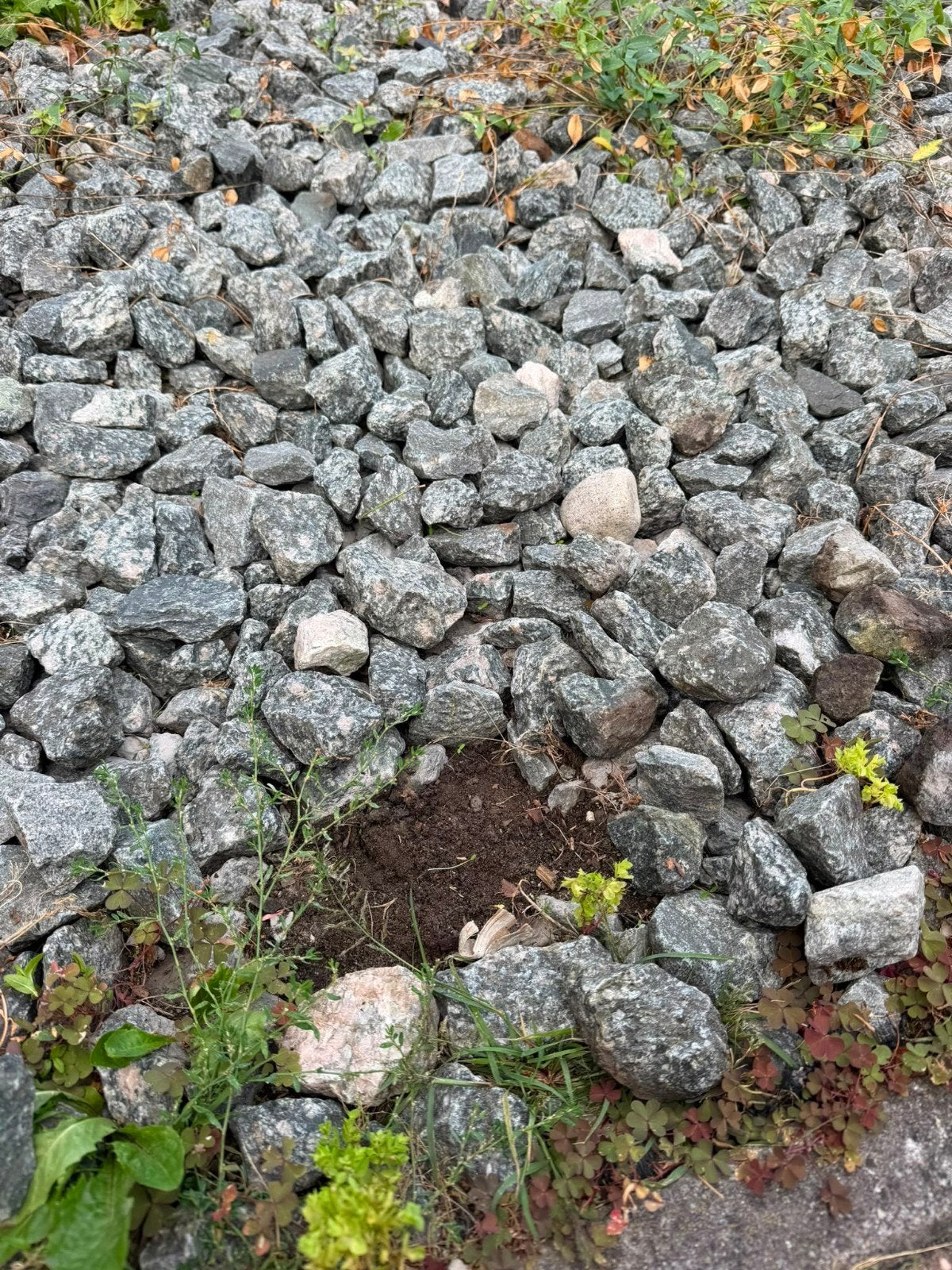 Breukstenen / Sierstenen voor tuin of oprit, Ophalen, Overige materialen, Gebruikt, Overige typen
