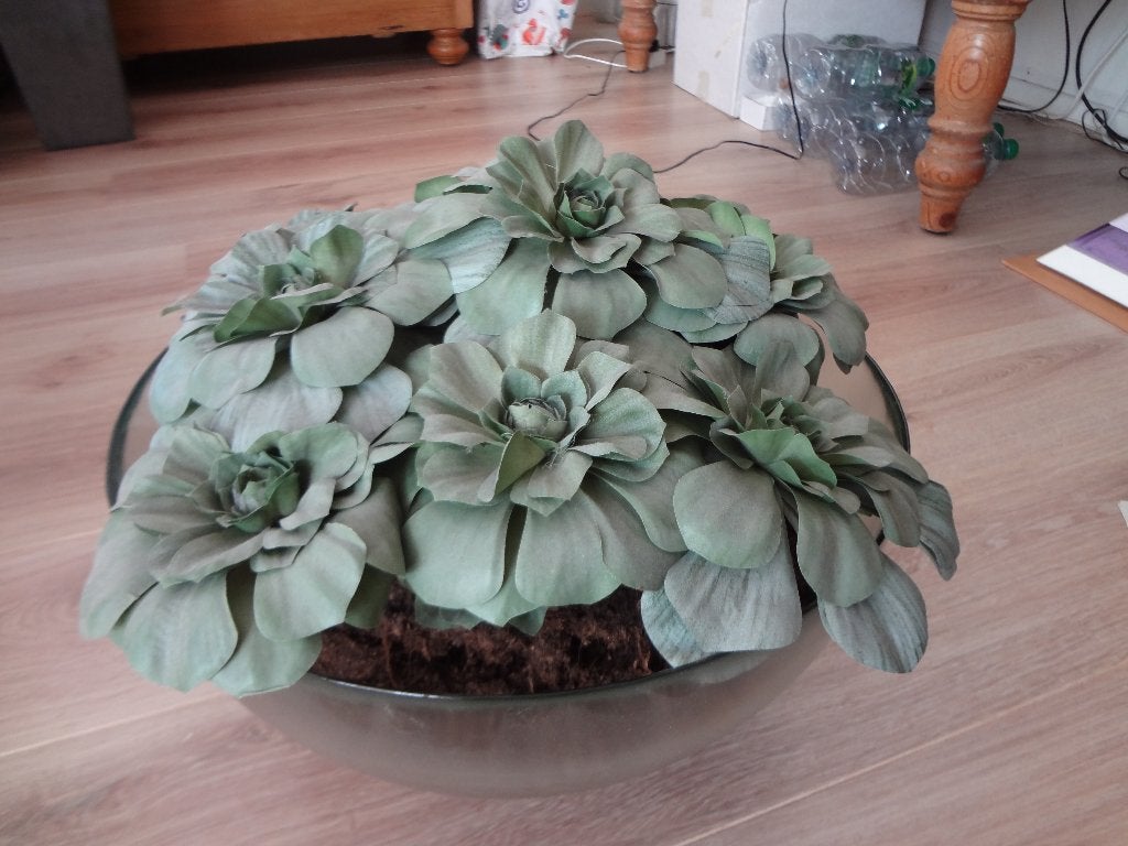 Kunststof plant, Ophalen of Verzenden