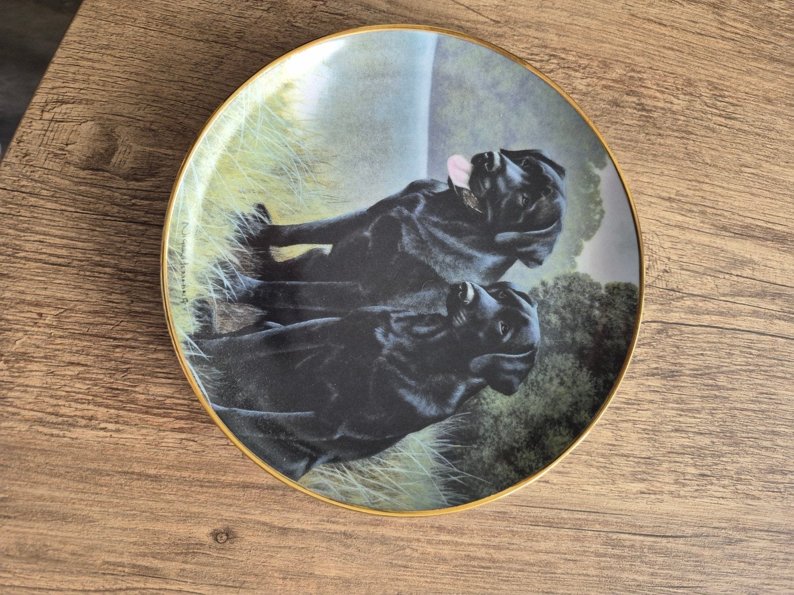 Franklin Mint Sporting Companions Limited Edition Bord, Ophalen of Verzenden