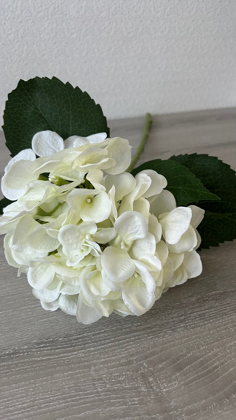 Kunstbloem witte hortensia, Huis en Inrichting, Binnen, Kunstbloem, Zijde, Ophalen of Verzenden