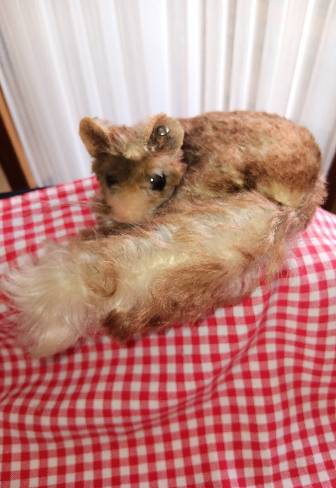steiff Dier rar, Ophalen of Verzenden