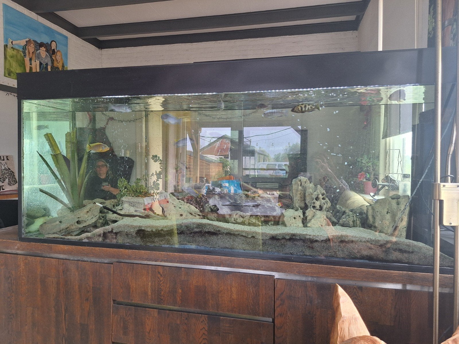 groot aquarium, Ophalen, Gevuld zoetwateraquarium