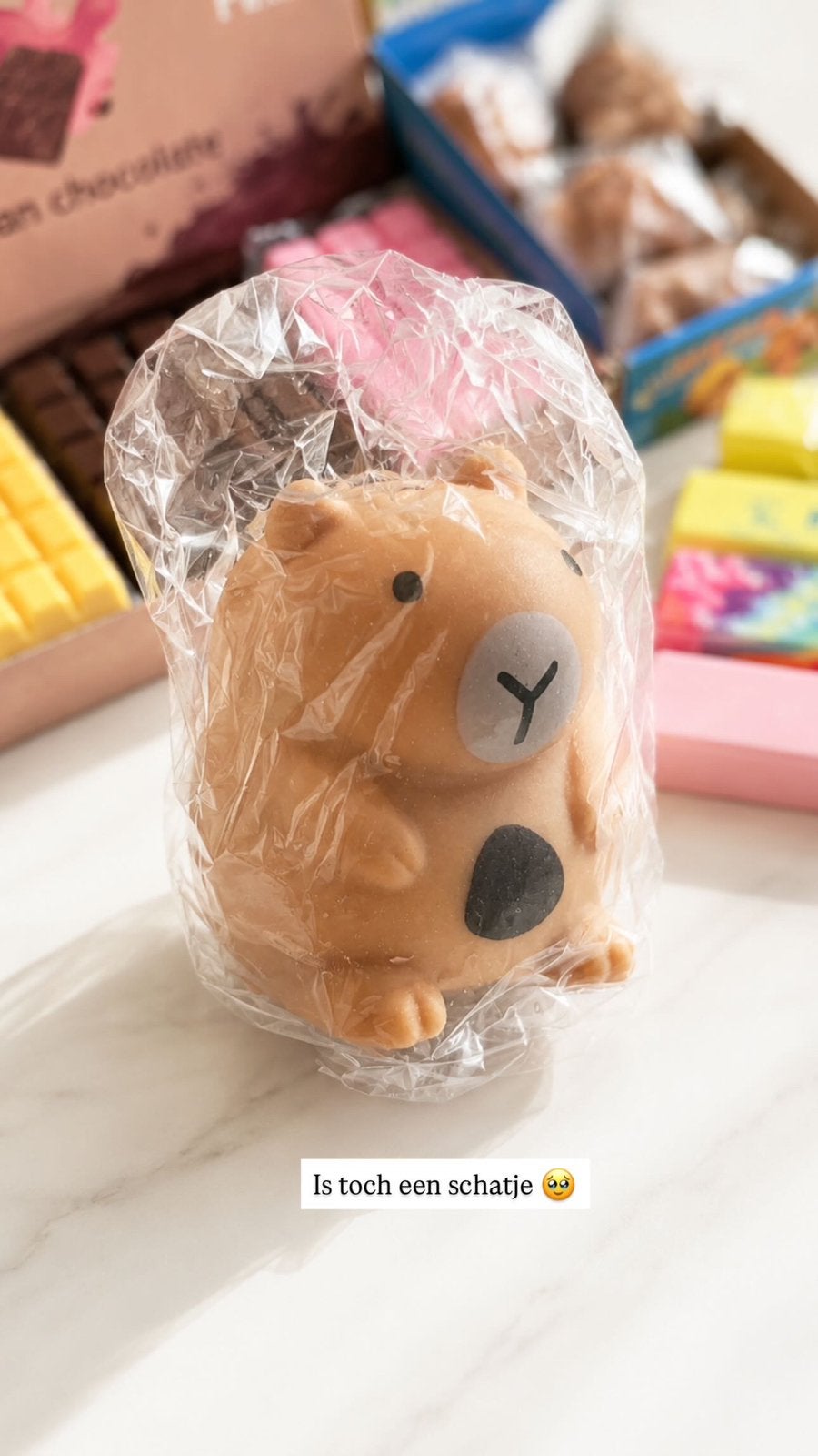 Squishy capibara, Ophalen of Verzenden, Zo goed als nieuw, Overige typen