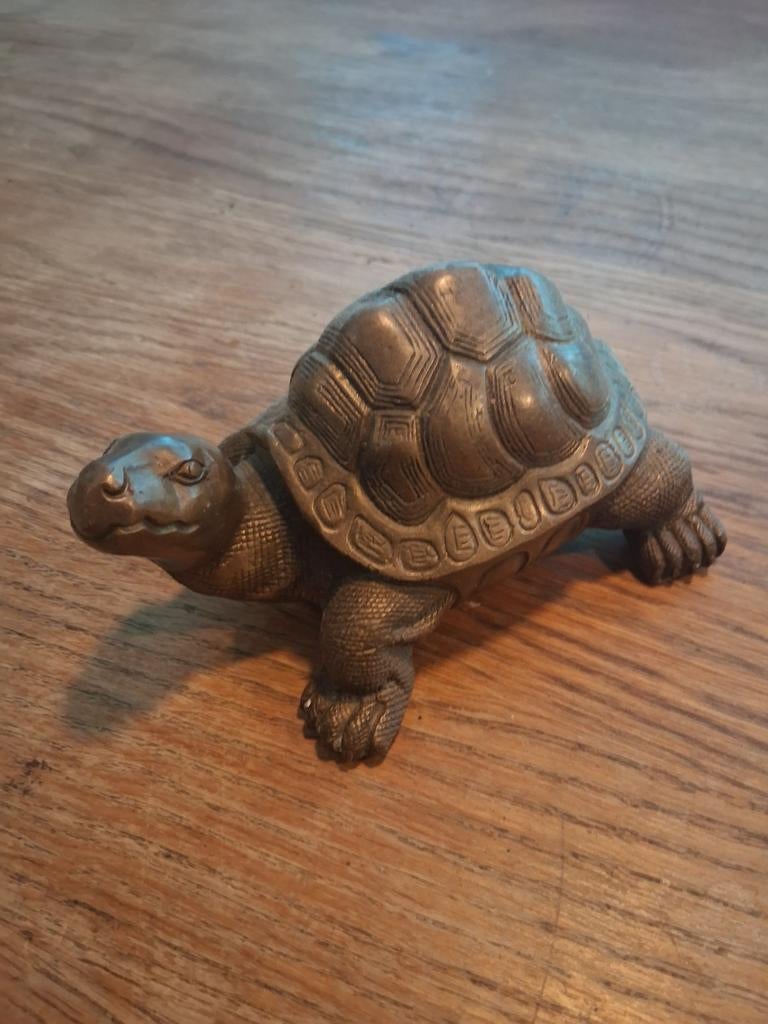 Bronzen schildpad/ leguaan, Ophalen of Verzenden