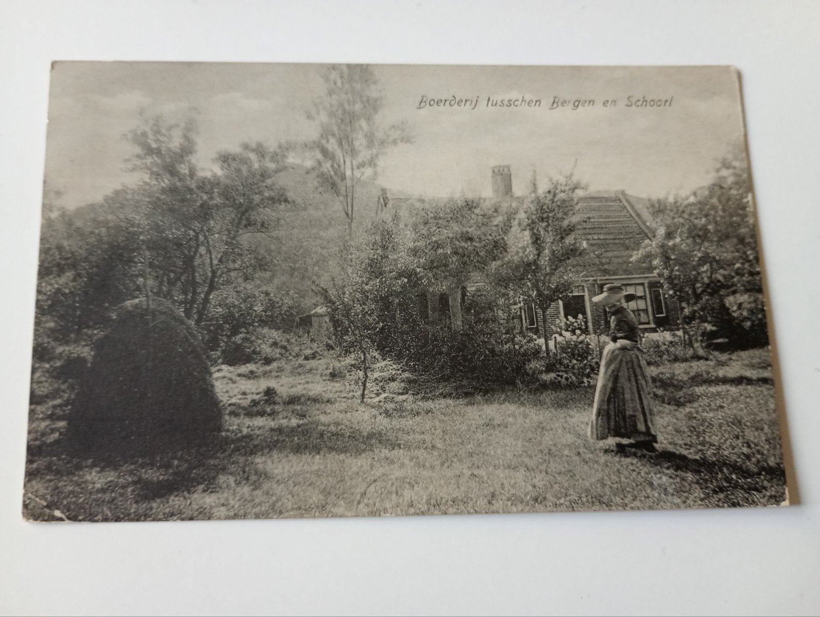 Boerderij tussen Bergen en Schoorl 1916, Ophalen of Verzenden, Voor 1920, Gelopen, Noord-Holland
