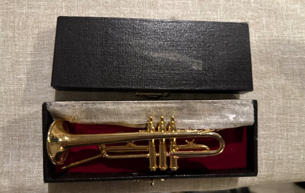 Mini trompet, Ophalen of Verzenden, Overige typen