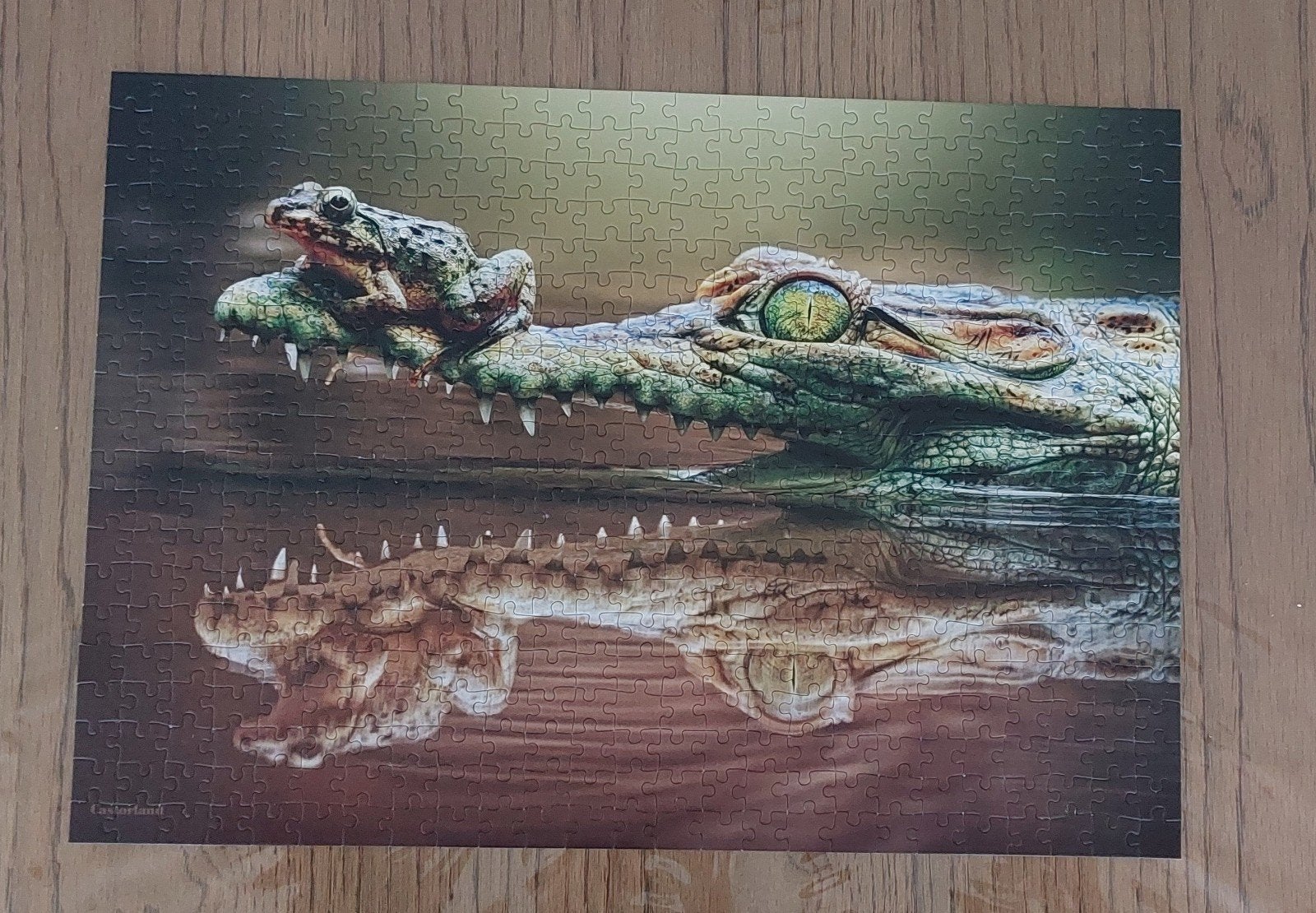 Krokodil, Castorland 500 stukjes, Ophalen of Verzenden, 500 t/m 1500 stukjes