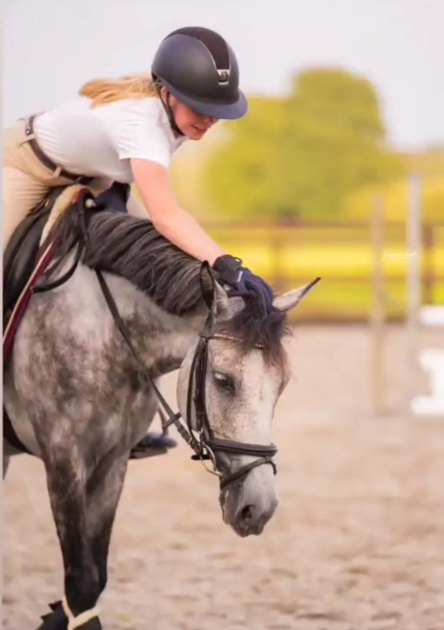 Zadelmak maken-in en uitverkoop paarden-instructie geven, Recreatiepaard