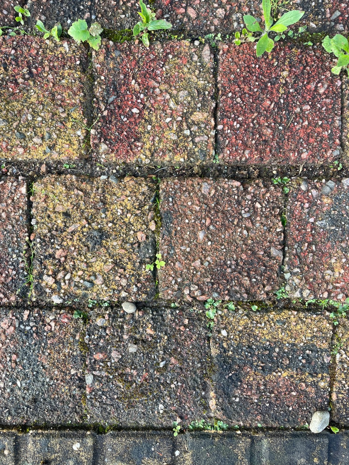 Veel kleurige terrasklinkers 10x10 cm ongeveer 10m2, Tuin en Terras, Tegels en Klinkers, Ophalen, Beton, Klinkers