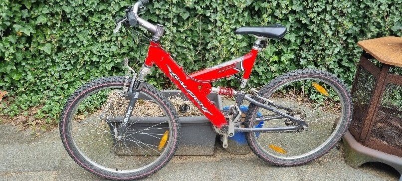 Raleigh mountainbike, Fietsen en Brommers, Fietsen | Mountainbikes en ATB, Gebruikt, 49 tot 53 cm, Ophalen, Overige merken