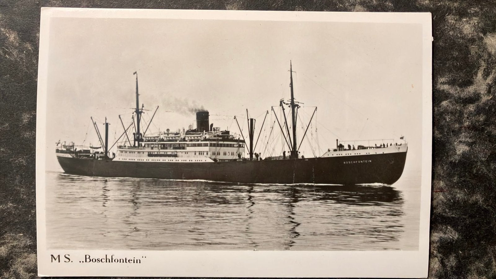 BOSCHFONTEIN  1928  VNS   Holland Afrika Lijn, Verzamelen, Scheepvaart, Zo goed als nieuw, Kaart, Foto of Prent, Ophalen of Verzenden