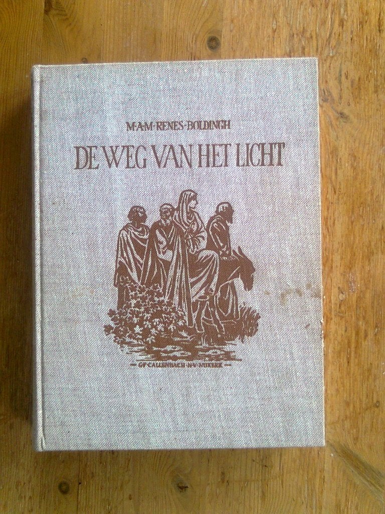 De weg van het licht,  door M.A.M. Renes-Boldingh, Ophalen of Verzenden, Gelezen