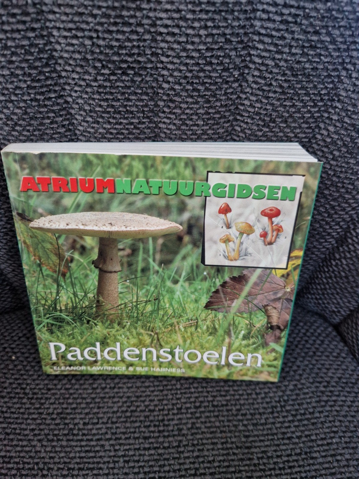 Atrium Natuurgidsen Paddenstoelen - Handige Gids, Boeken, Ophalen of Verzenden, Zo goed als nieuw, Natuur algemeen, Eleanor Lawrence & Sue Harries