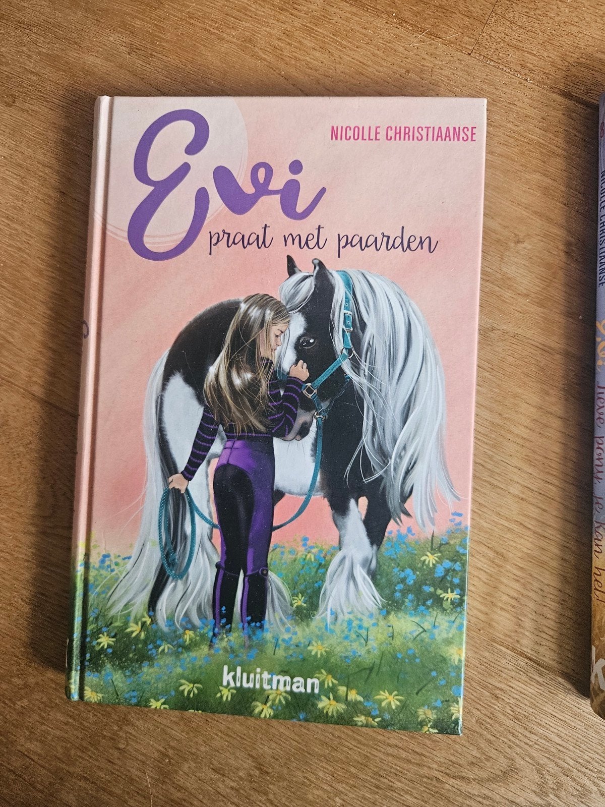 3 boeken Manege Zonnehoeve - Gertrud Jetten, Ophalen of Verzenden