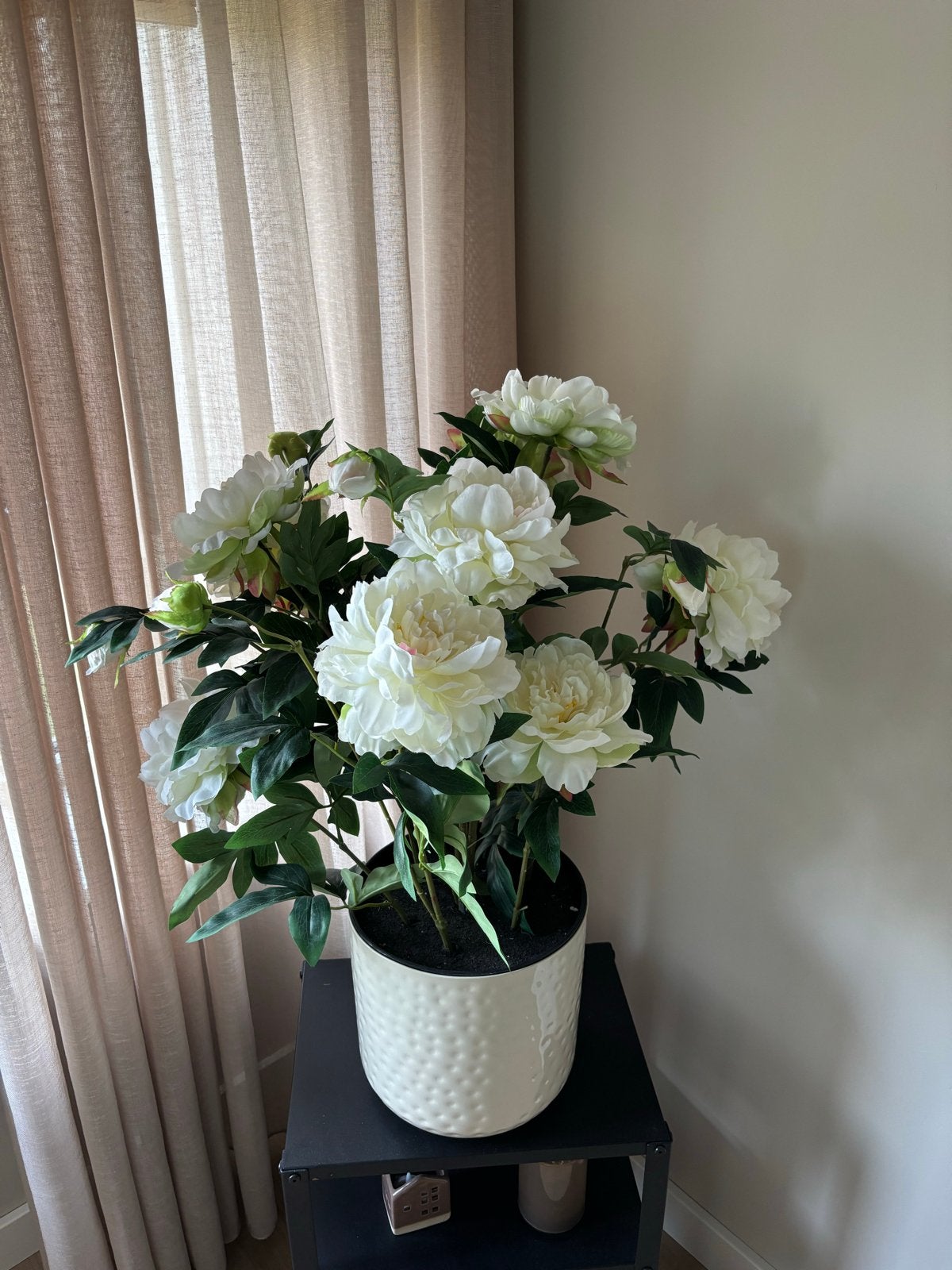 Kunstplant met creme/witte pioenrozen- Intratuin, Ophalen, Binnen, Kunstplant, Intratuin