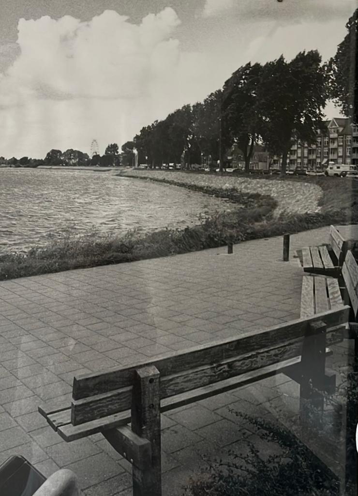 Vintage Zwart-Wit Foto: Meerzicht met Bankjes en Bomen, Antiek en Kunst, Ophalen of Verzenden