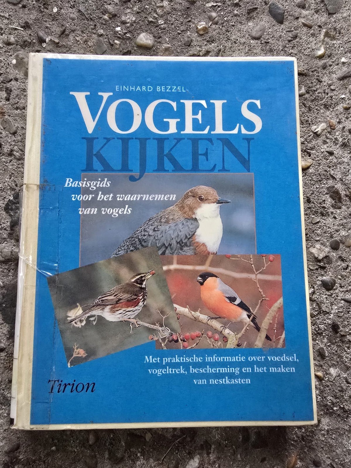 Boek vogels kijken, Ophalen of Verzenden, Vogels