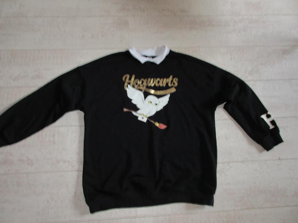 Mooi zwarte Harry Potter trui maat 170-176 - Als nieuw, Kinderen en Baby's, C&A., Meisje, Trui of Vest, Ophalen of Verzenden