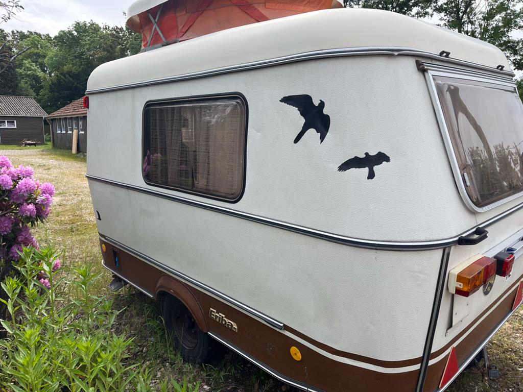Eriba Puck, Caravans en Kamperen, Caravans, Standaardzit, Tot en met 2, Hefdak, Particulier