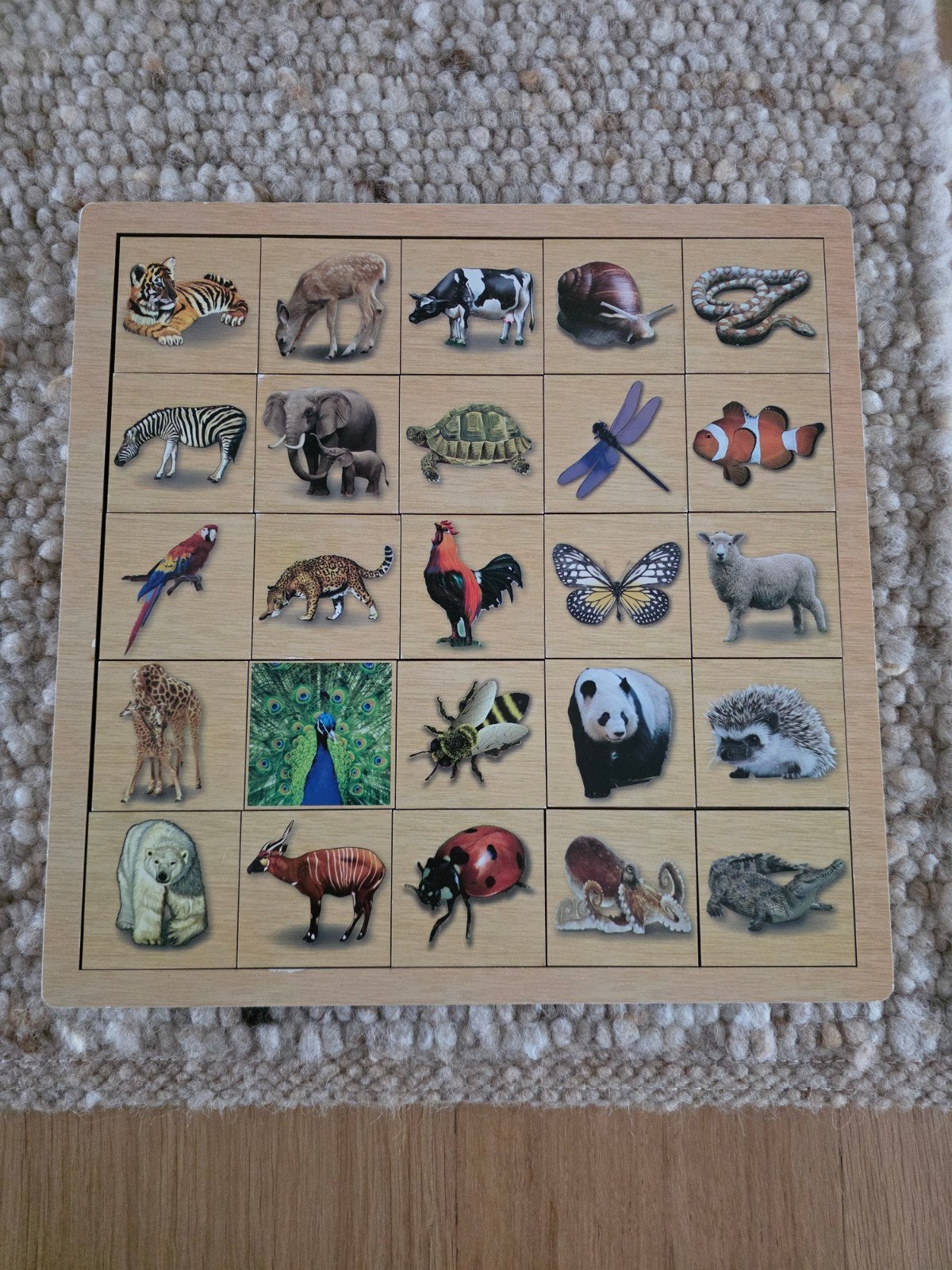 puzzel, Ophalen, Minder dan 50 cm, Vierkant, Minder dan 50 cm
