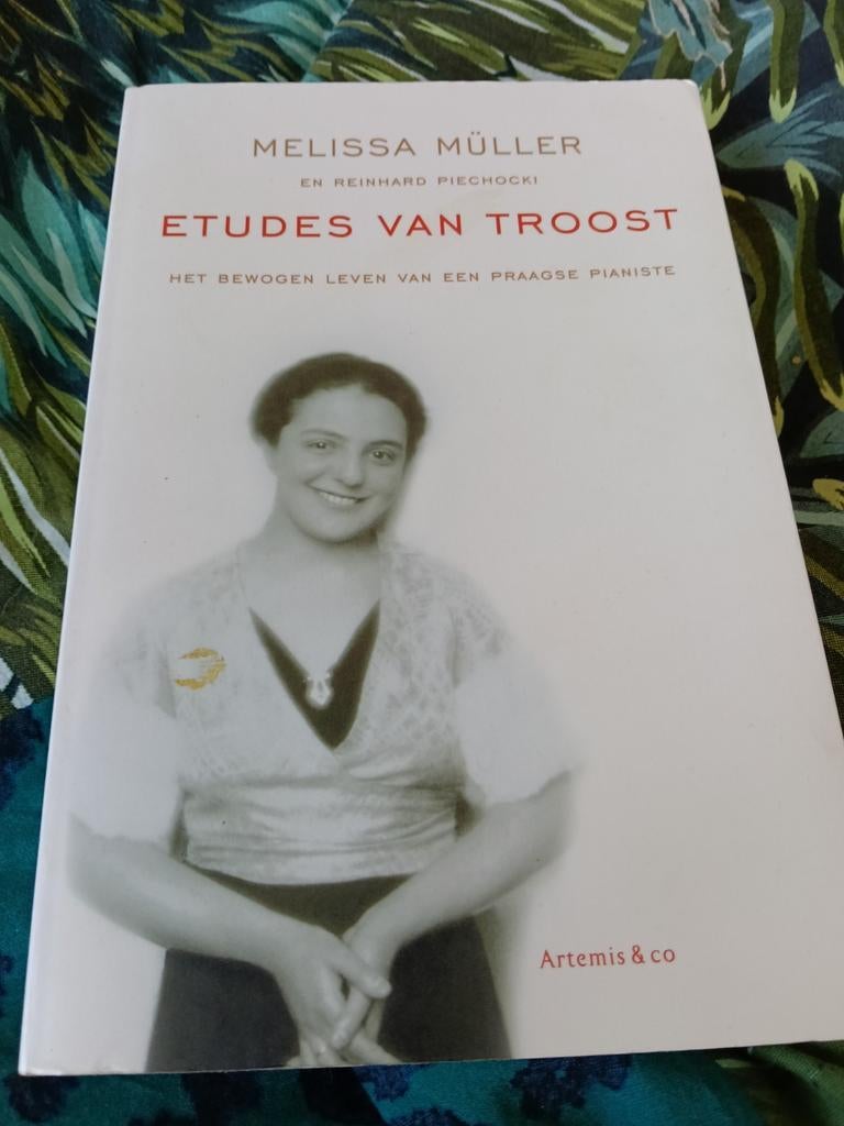 Etudes van Troost:Mellis Müller, Ophalen of Verzenden, Zo goed als nieuw, Melissa Müller en Reinhard Piechocki, Kunst en Cultuur
