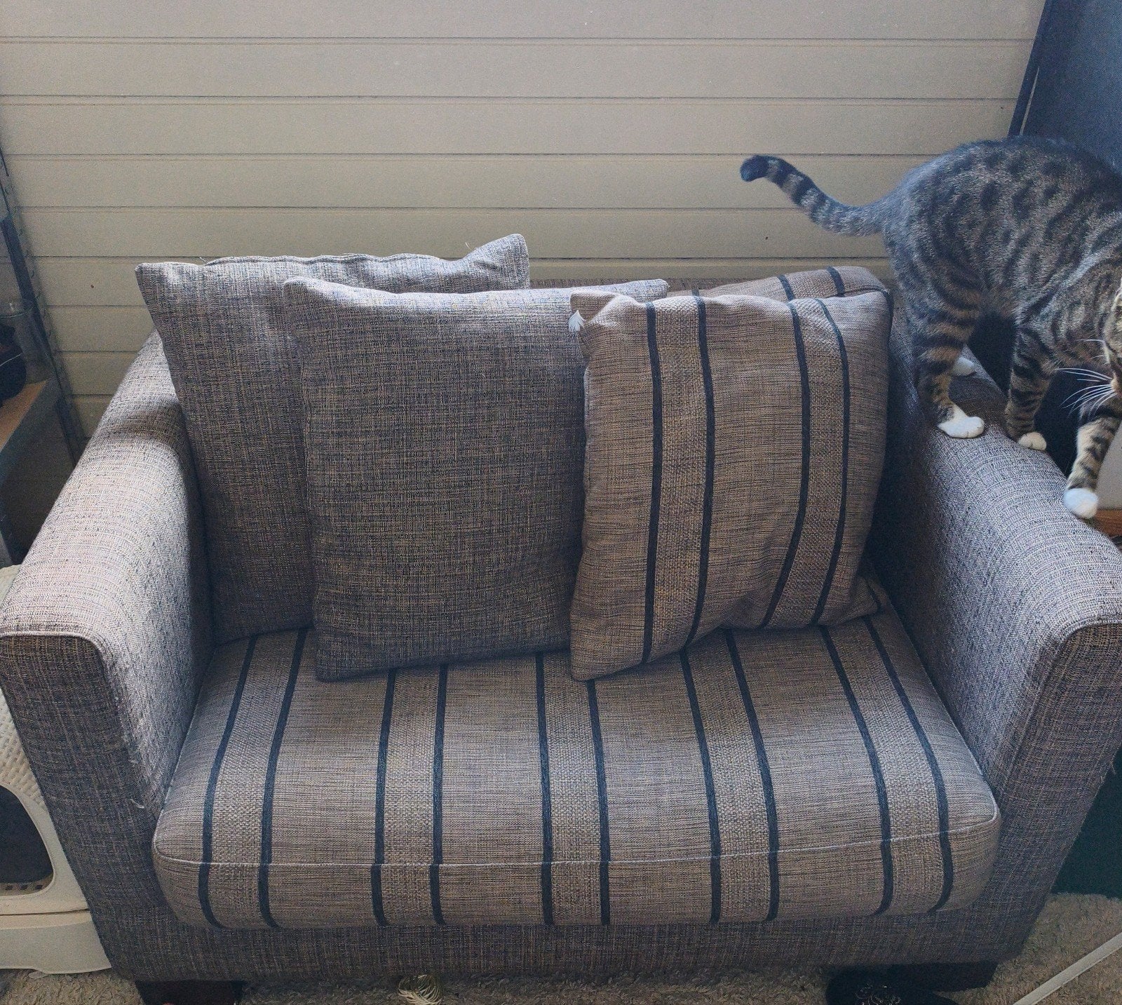Bruine Loveseat - Comfortabele Tweepersoonsbank, Ophalen, Modern, Comfortabel, Gebruikt, Tweepersoons