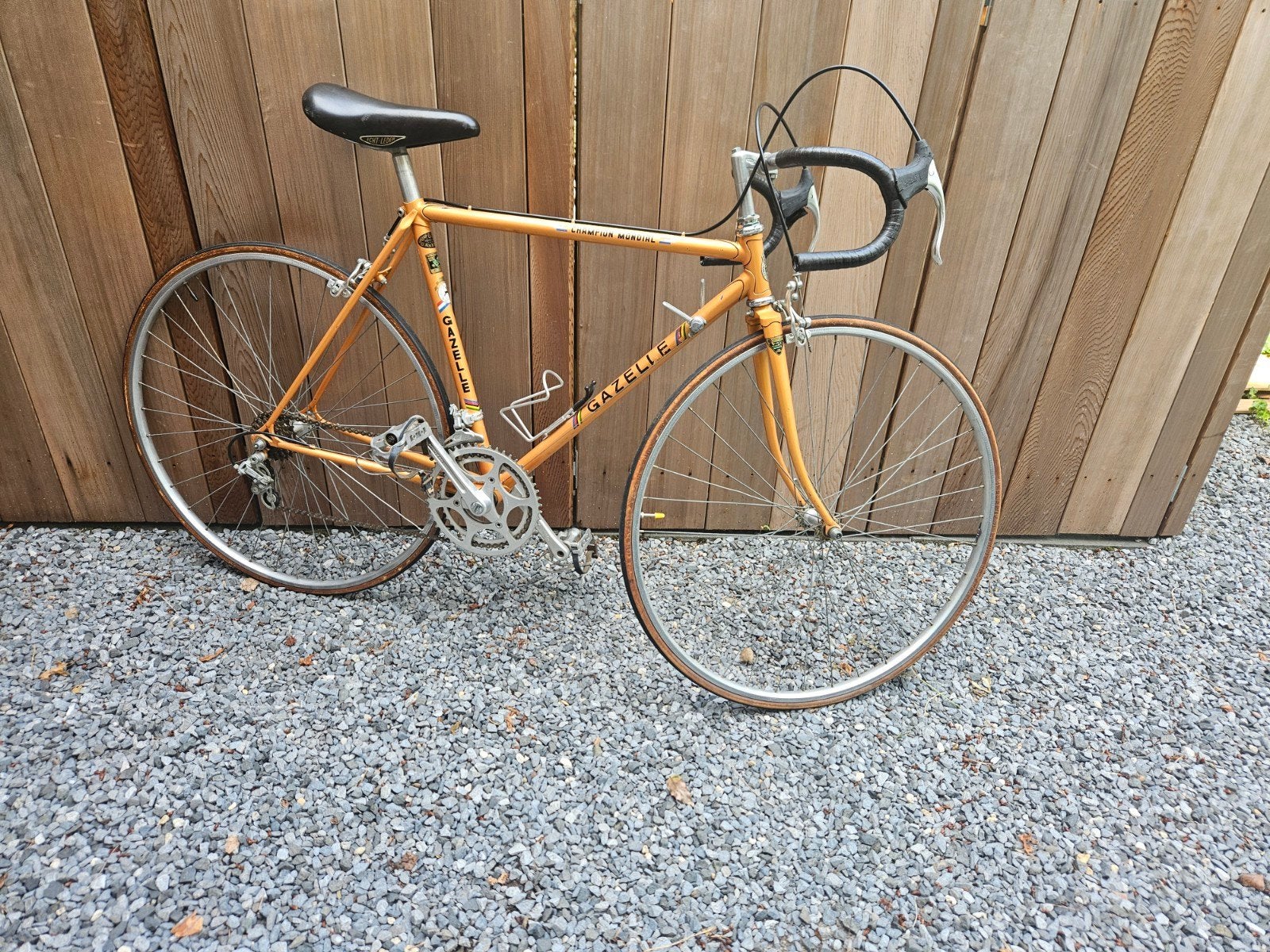 Gazelle Champion Mondial A-frame racefiets - 1979, Ophalen