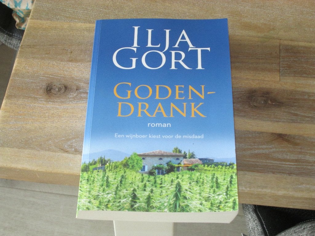 Godendrank - Ilja Gort (roman), Ophalen of Verzenden, Zo goed als nieuw, Nederland, Ilja Gort