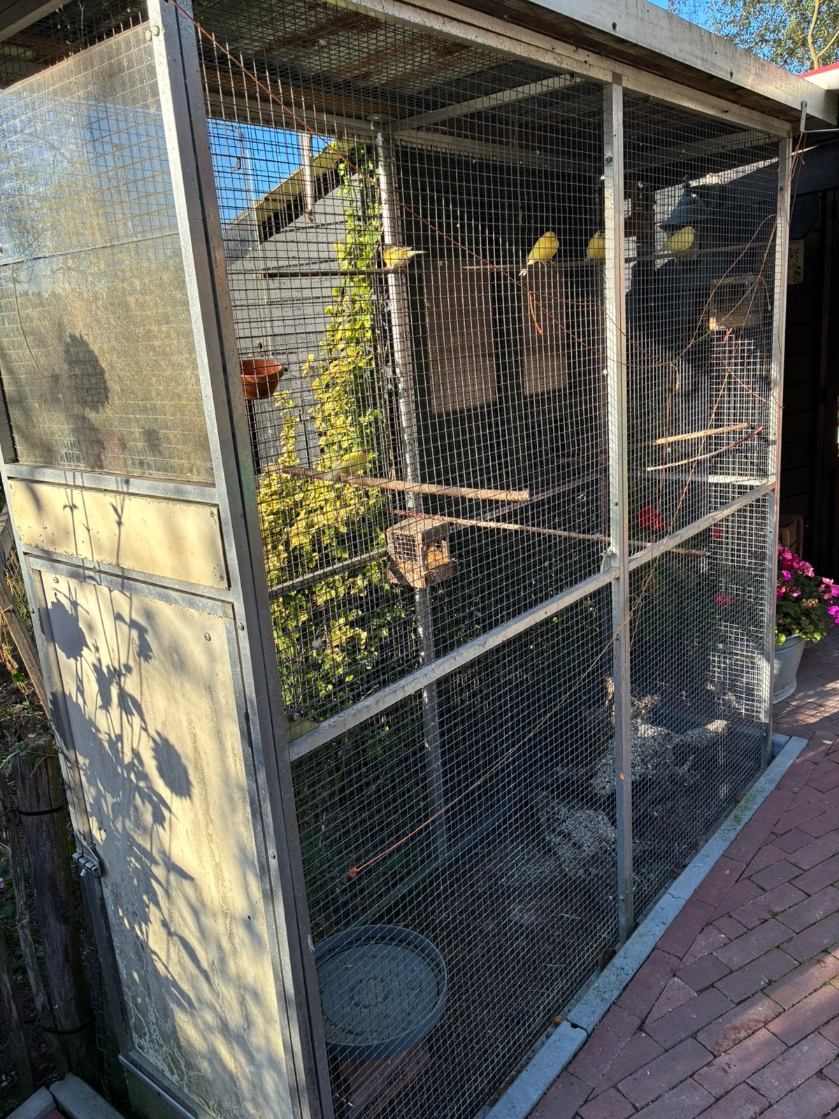 Volière met binnenhok + evt. incl kanaries, Ophalen, Gebruikt, Aluminium, Volière