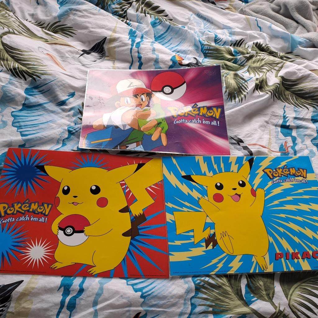 Pokemon posters, Ophalen, Gebruikt, Rechthoekig Liggend, A1 t/m A3